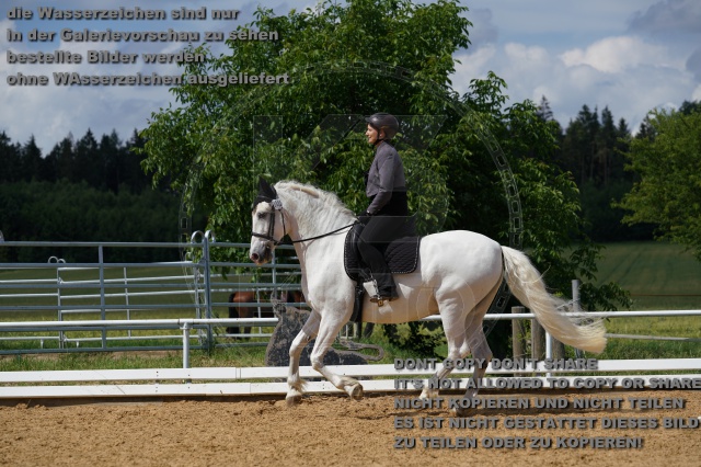 s_K3F04747.JPG